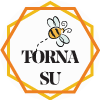 scroll to top